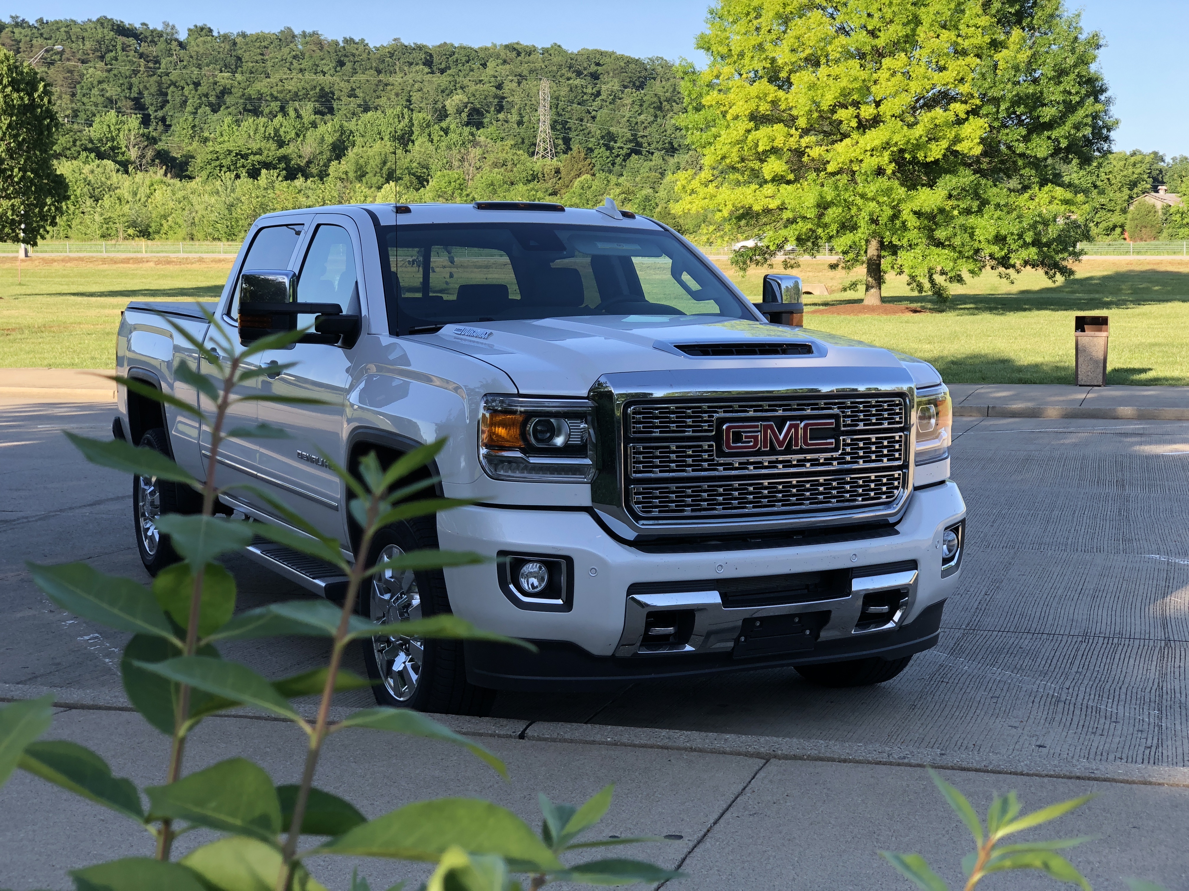 Westbound Wanderers Day 2 Seagull S Our 2018 Denali Hd