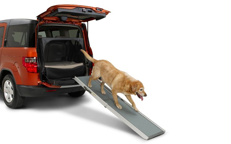 honda element dog ramp