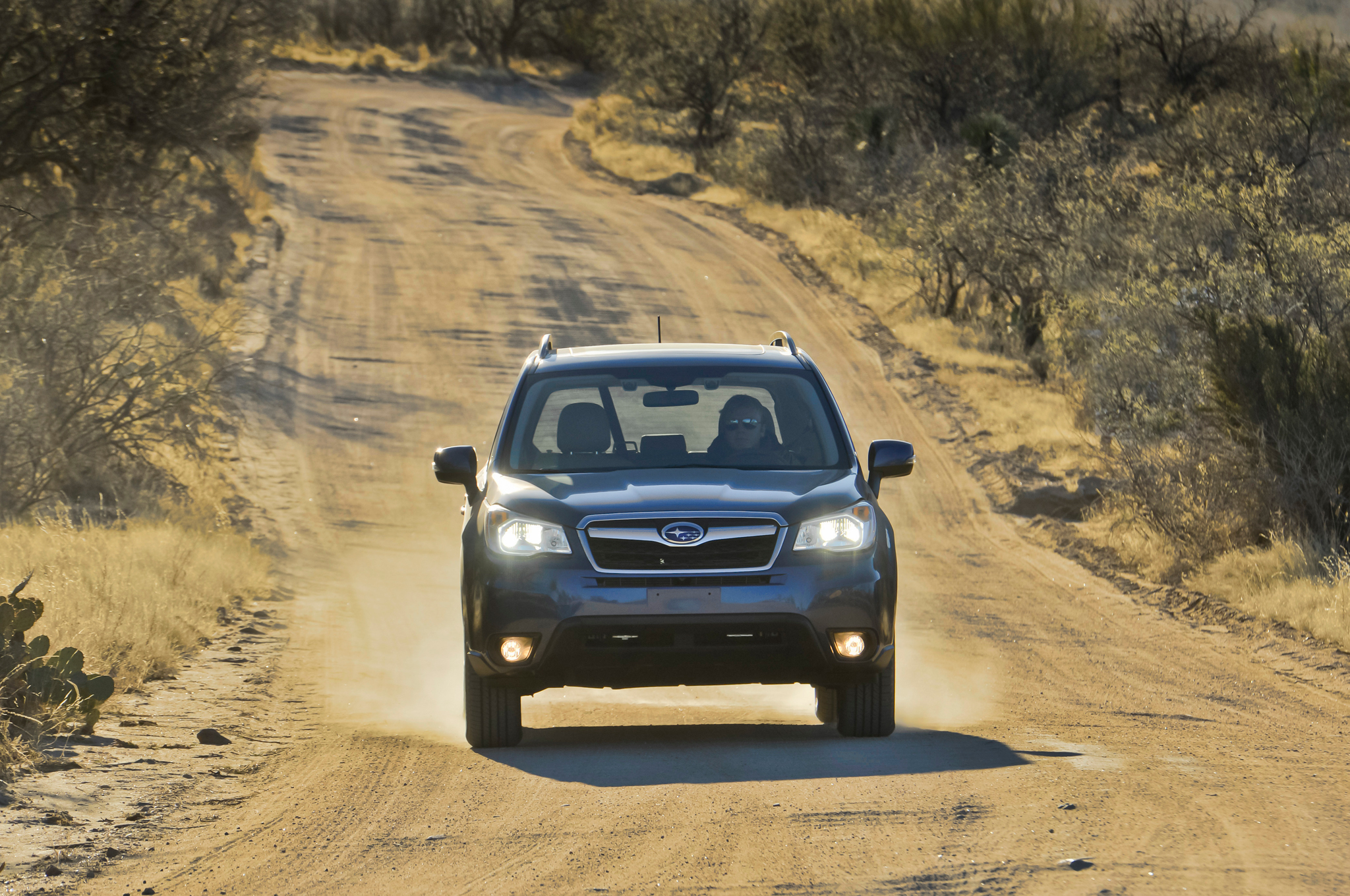 2014 Subaru Forester Manual AWD PZEV First Test Photo & Image Gallery
